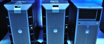 pexels-cookiecutter-17489152